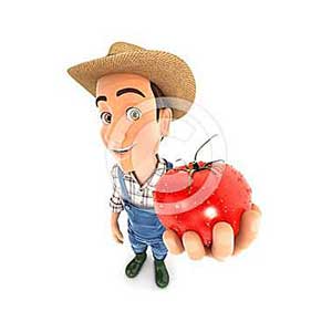 3d farmer holding a fresh tomato